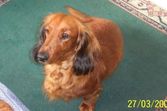 Joy Brunn <br><i> aka Doxykeeper</i>